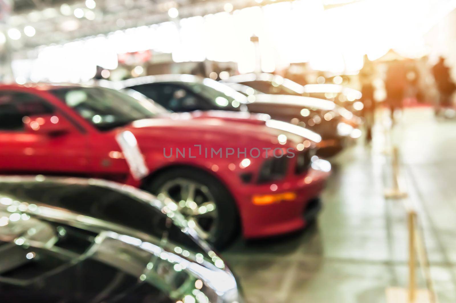 Modern sport cars in a showroom with sunlight