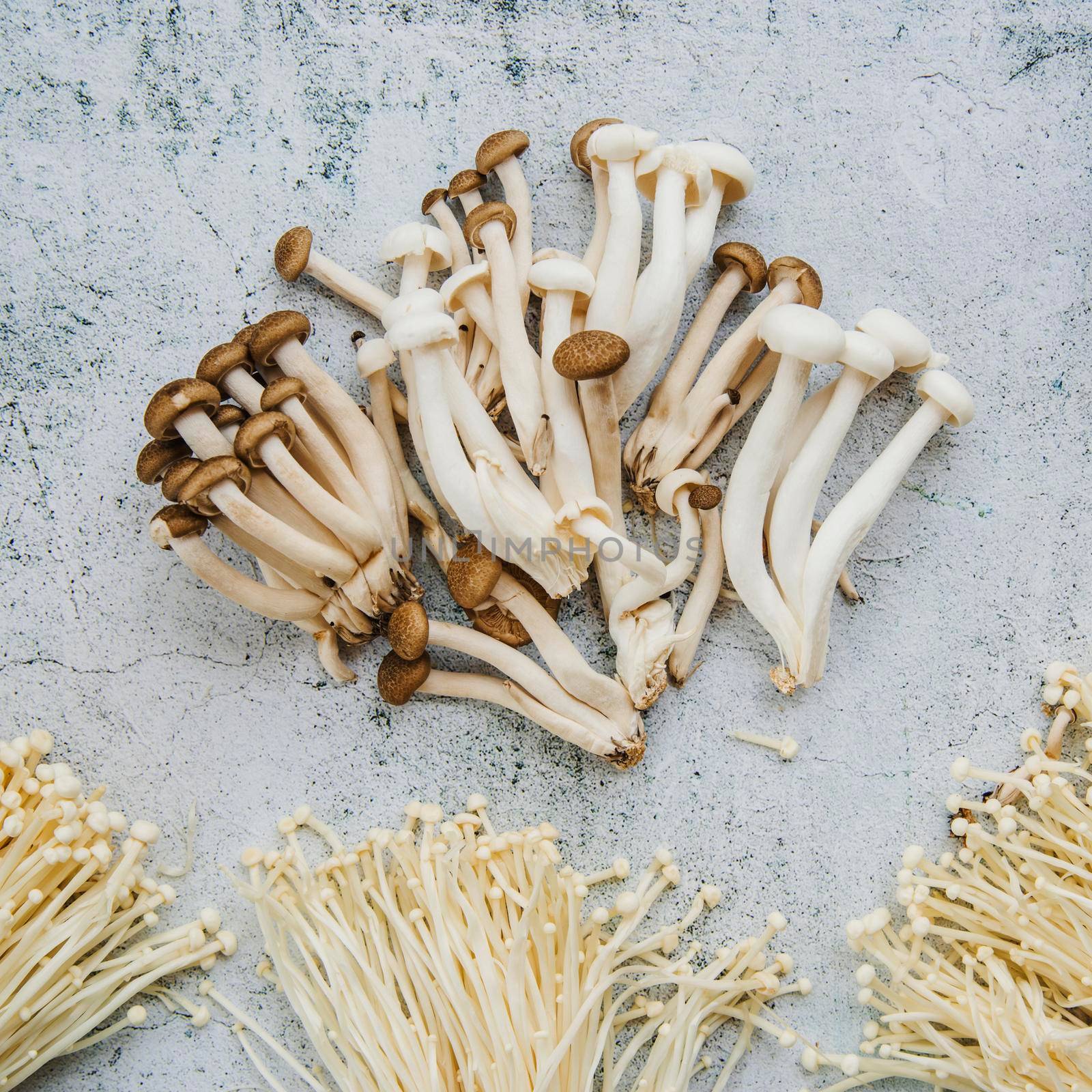 edible mushrooms arrange floor