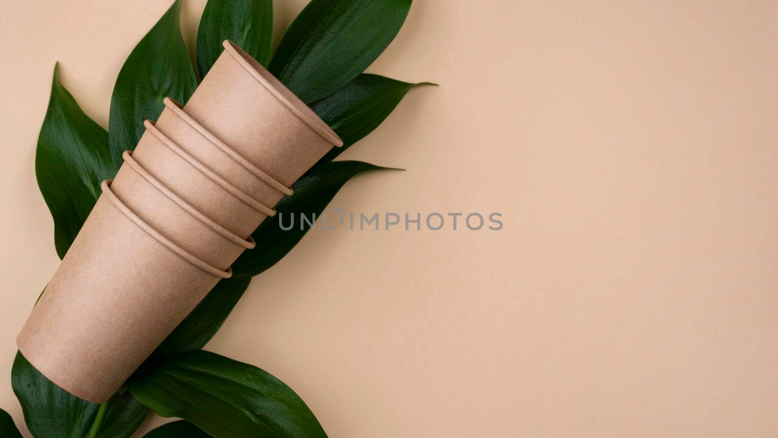 eco friendly brown cups leaves by Zahard