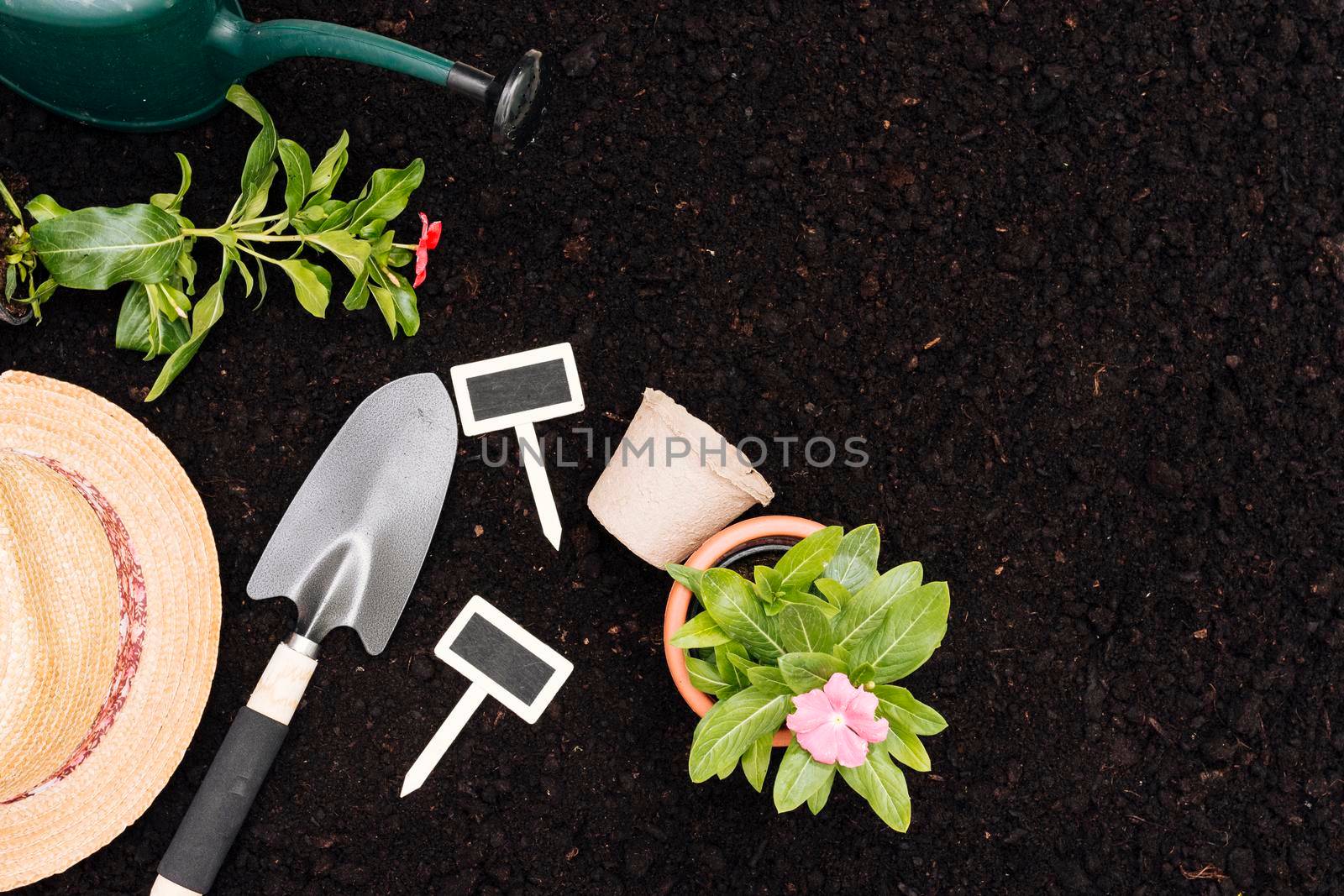 top view gardening composition with copy space by Zahard