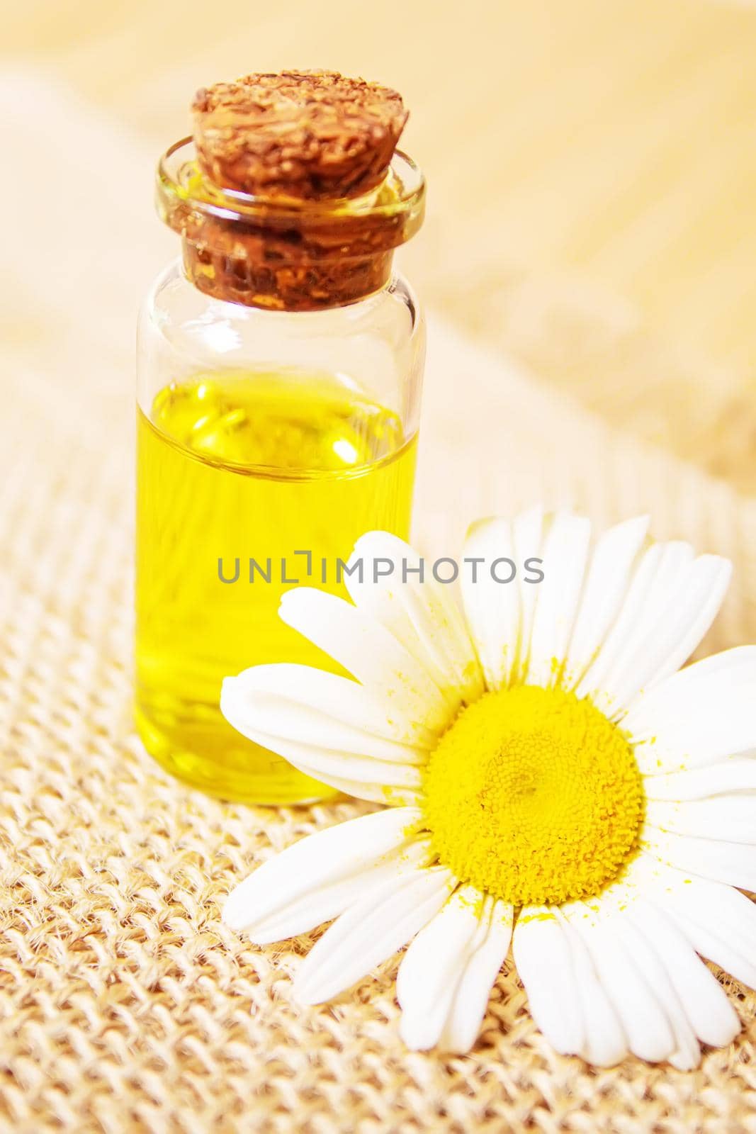 Chamomile essential oil in a small bottle. Selective focus.