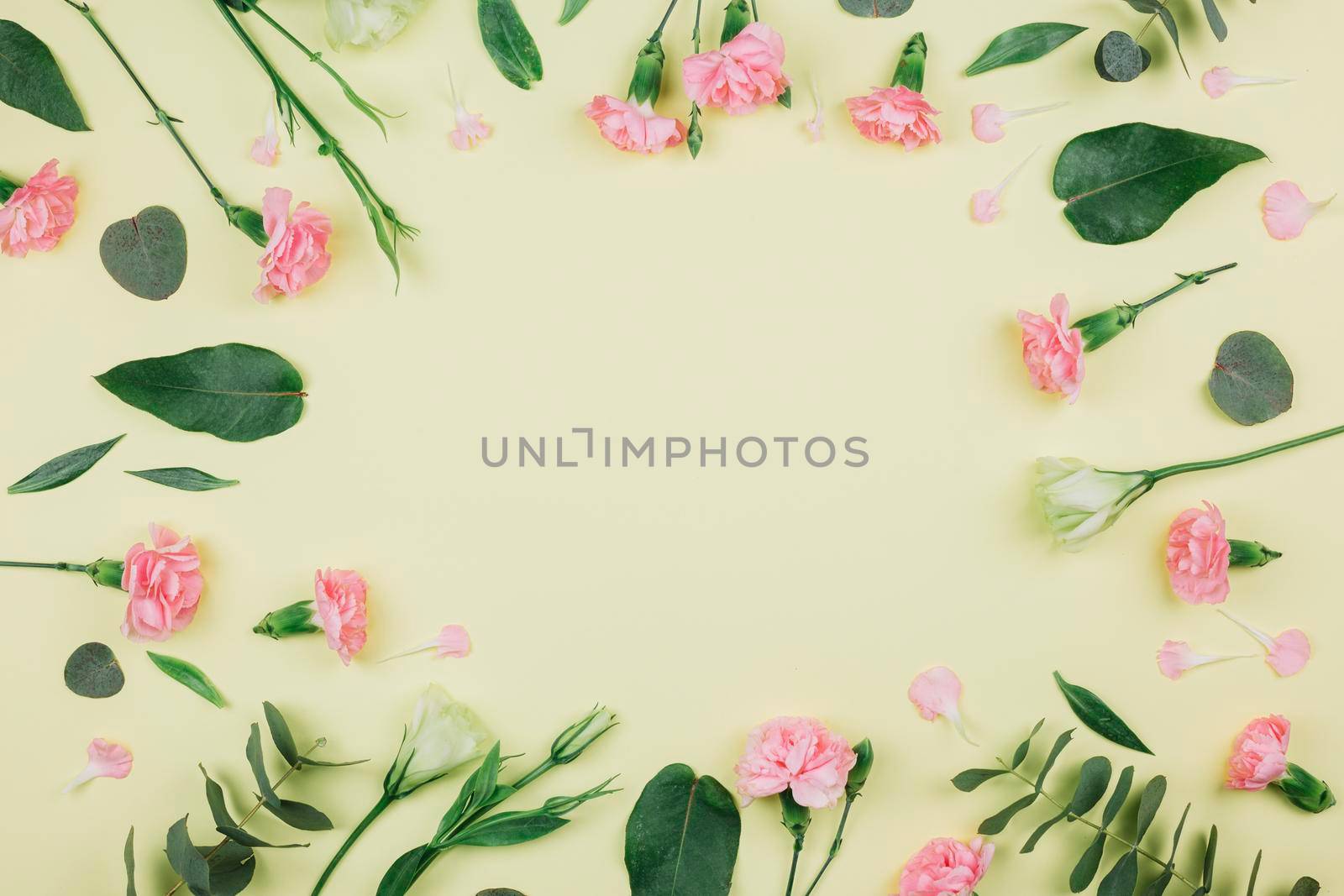 green eucalyptus populus leaves pink carnations eustoma flowers with space center yellow background