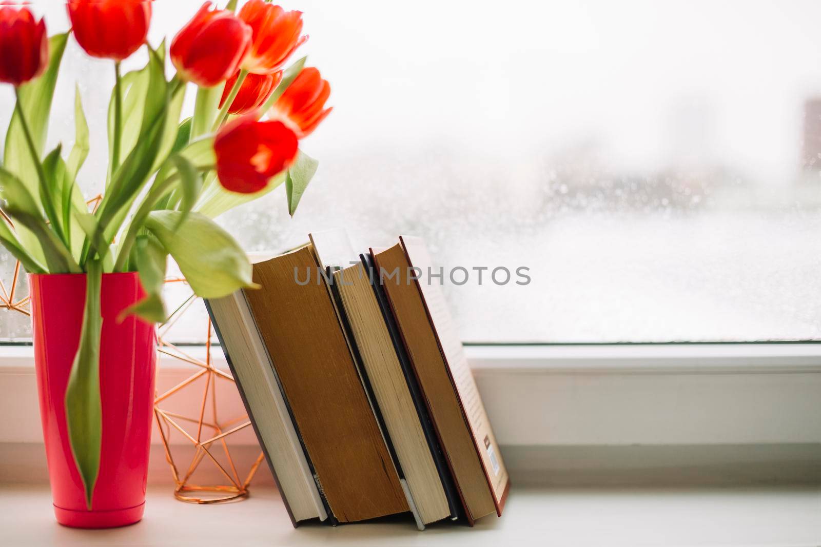 books near tulips by Zahard