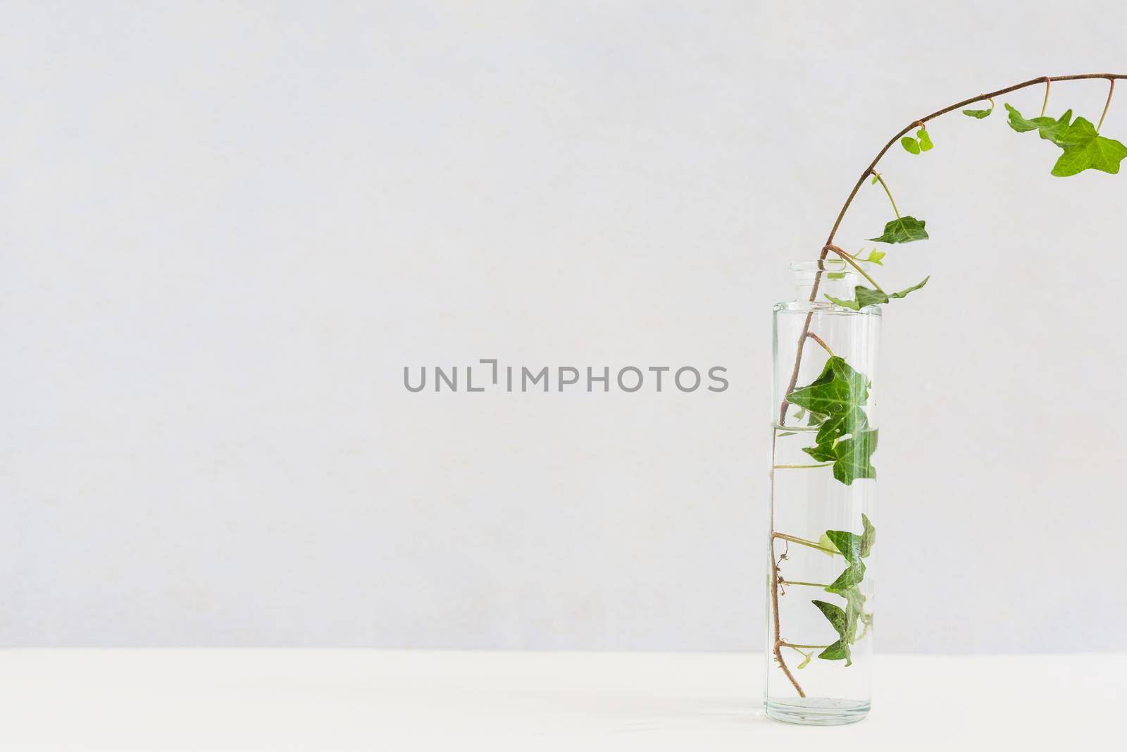 close up ivy transparent glass bottle white desk against background