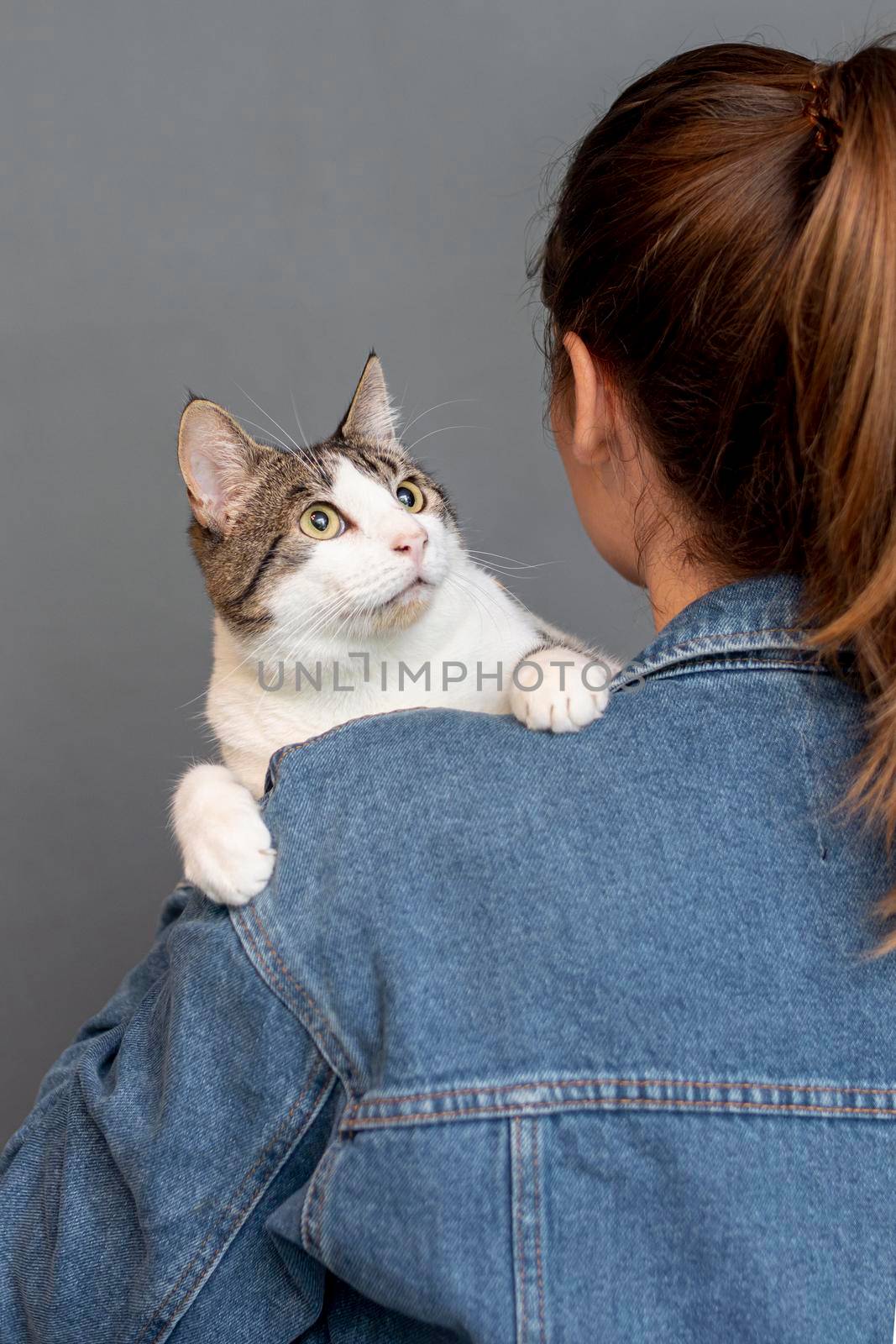 high angle woman holding cat