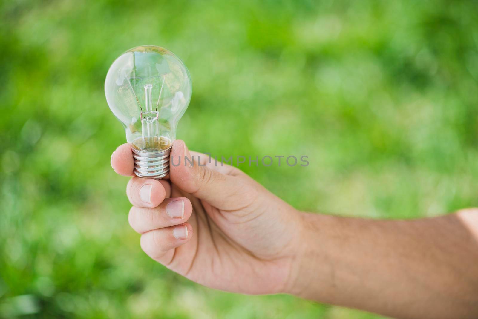 human hand holding transparent light bulb against green backdrop by Zahard
