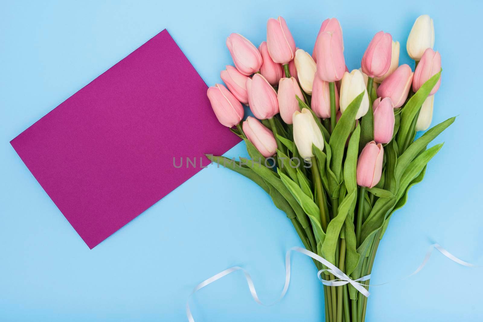 bouquet tulips with purple card by Zahard