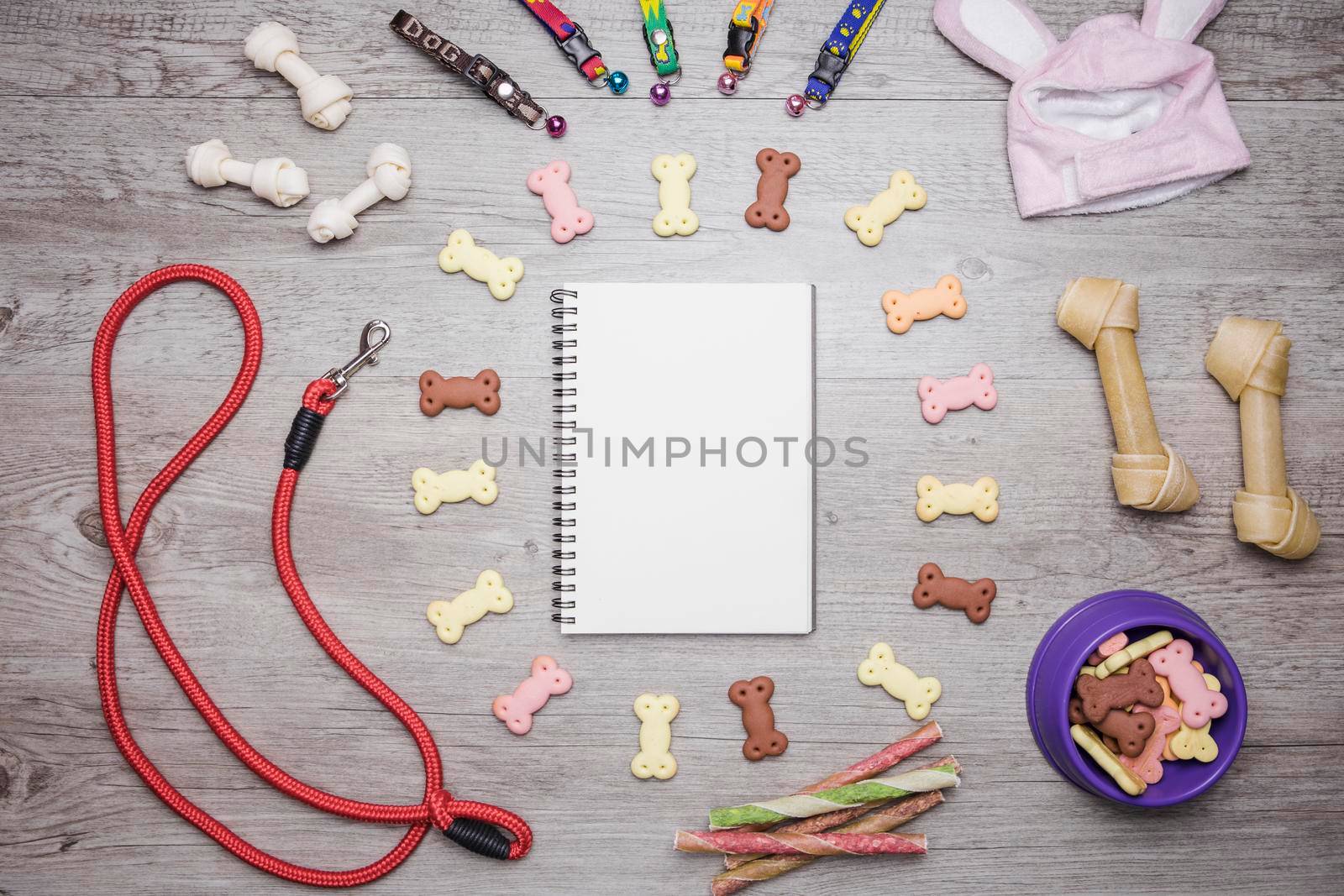 dog accessories snacks notebook set by Zahard