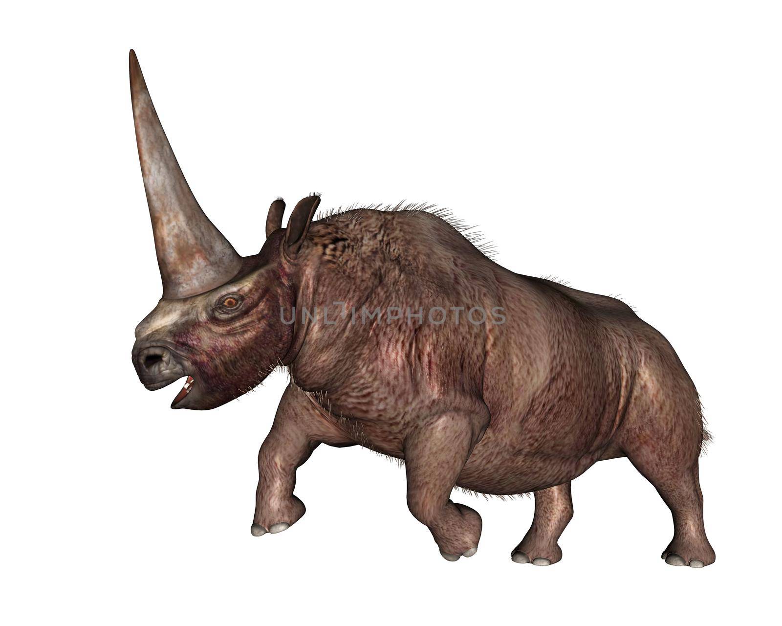 Elasmotherium rhinoceros with big horn roaring up isolated in white background- 3D render