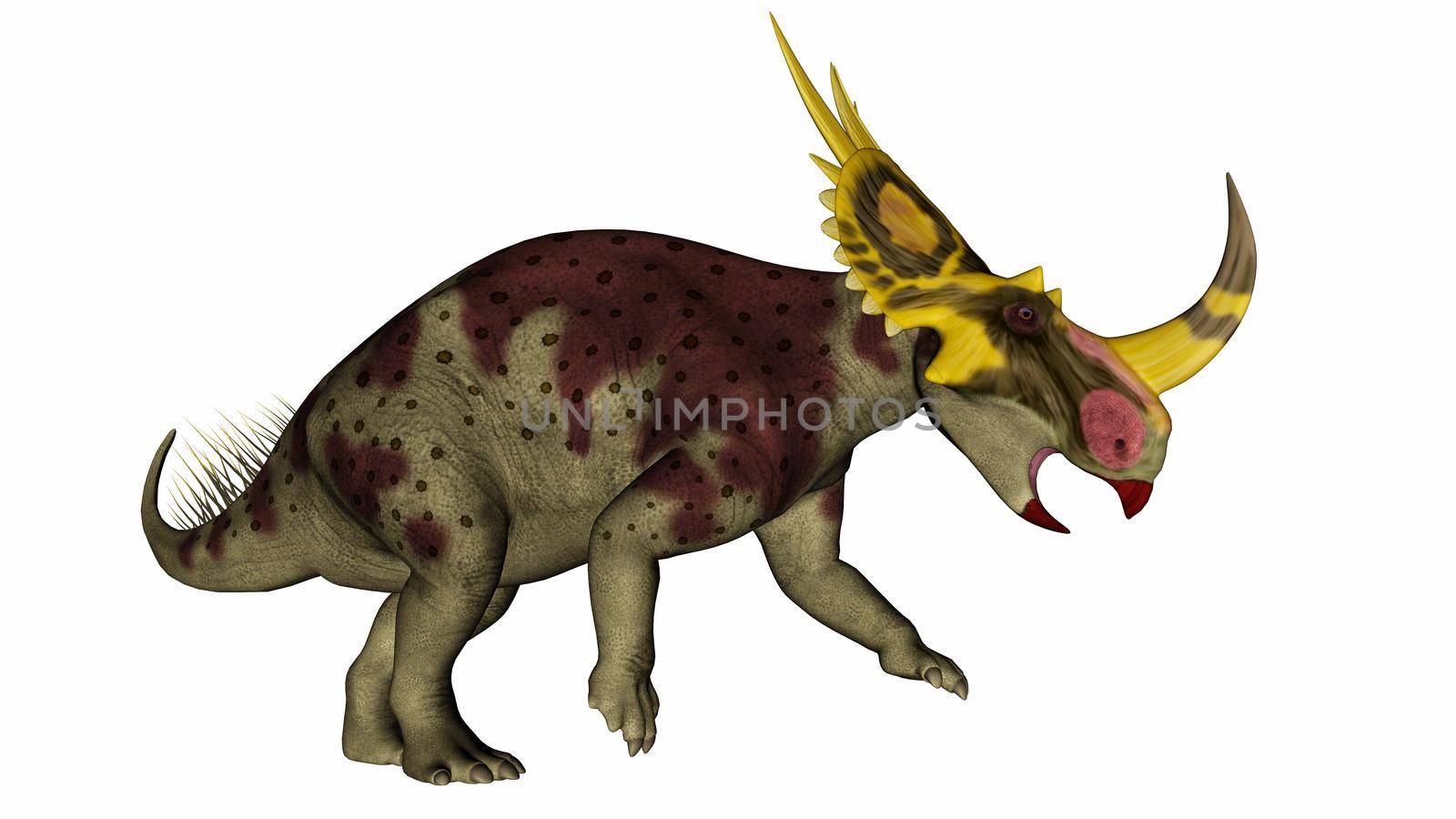 Rubeosaurus dinosaur standing and roaring isolated in white background - 3D render