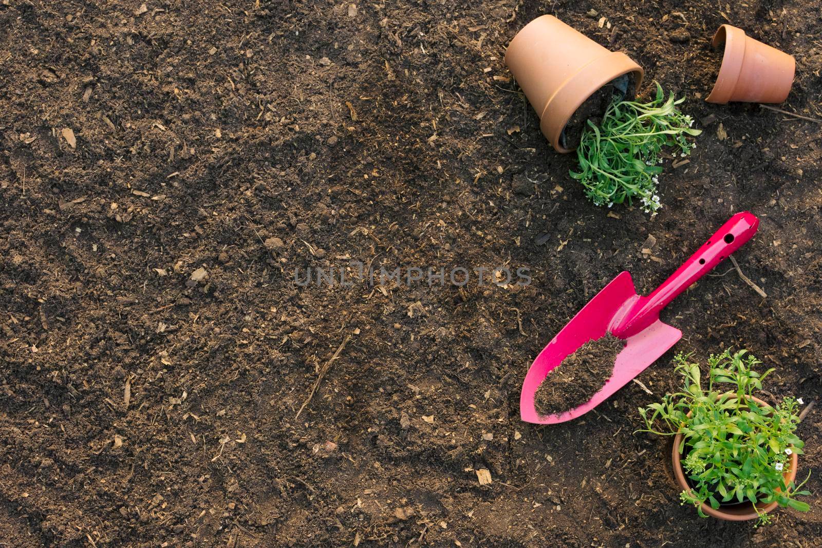 spade with flowerpots ground by Zahard