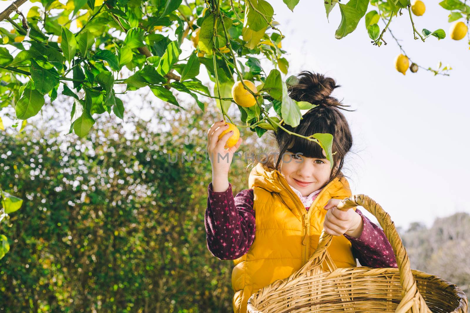 girl with basket looking camera by Zahard