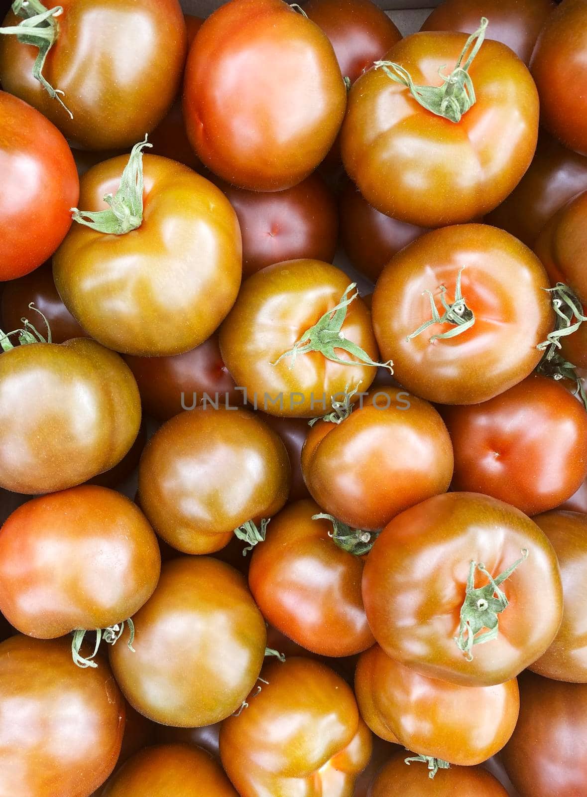 red and yellow tomatoes in boxes at the farmers market.selective focus by mila1784