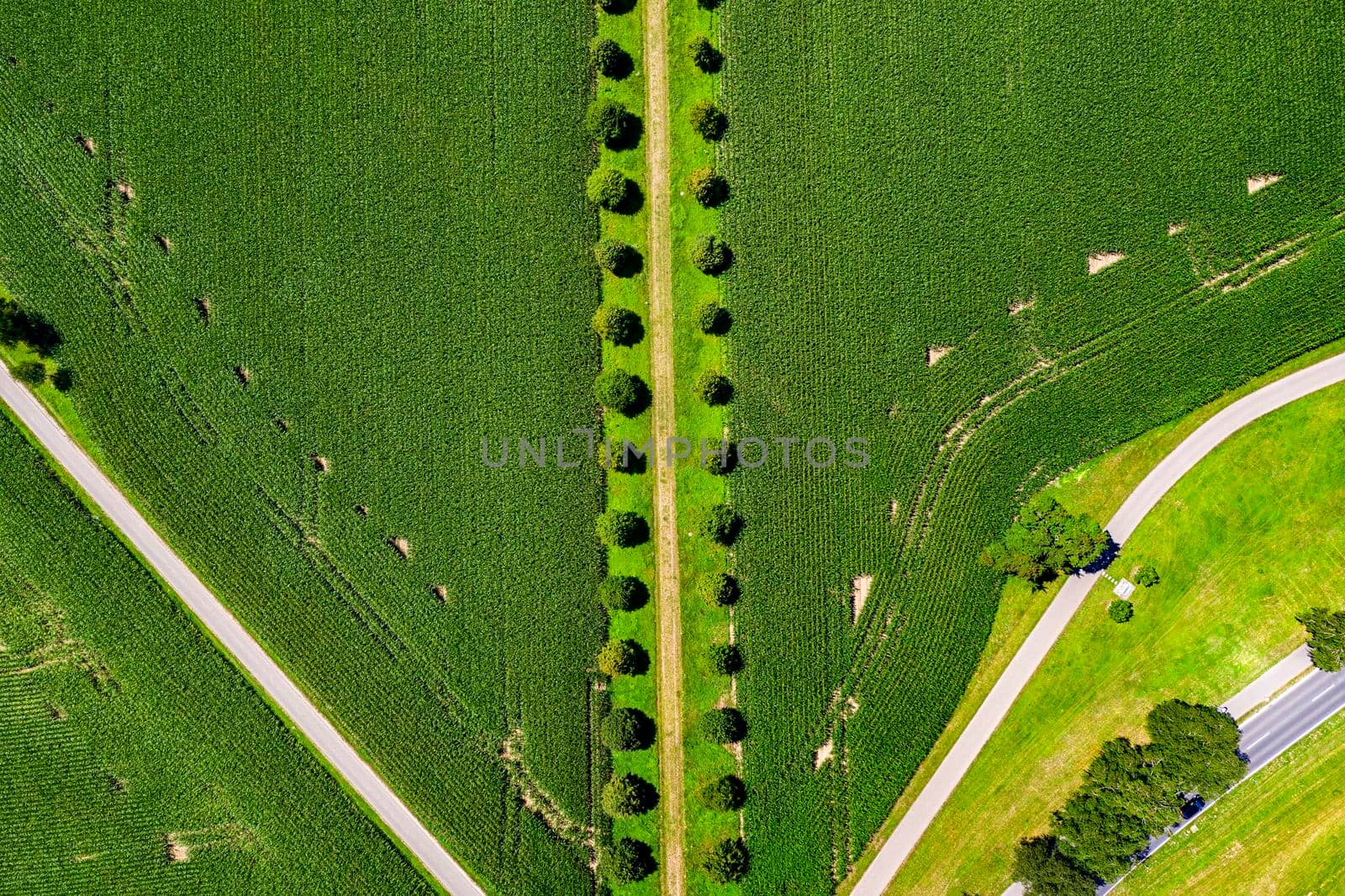 Aerial view of a beautiful road with trees and green field. Landscape in the countryside. Shot from a drone. Nature and agriculture concepts.