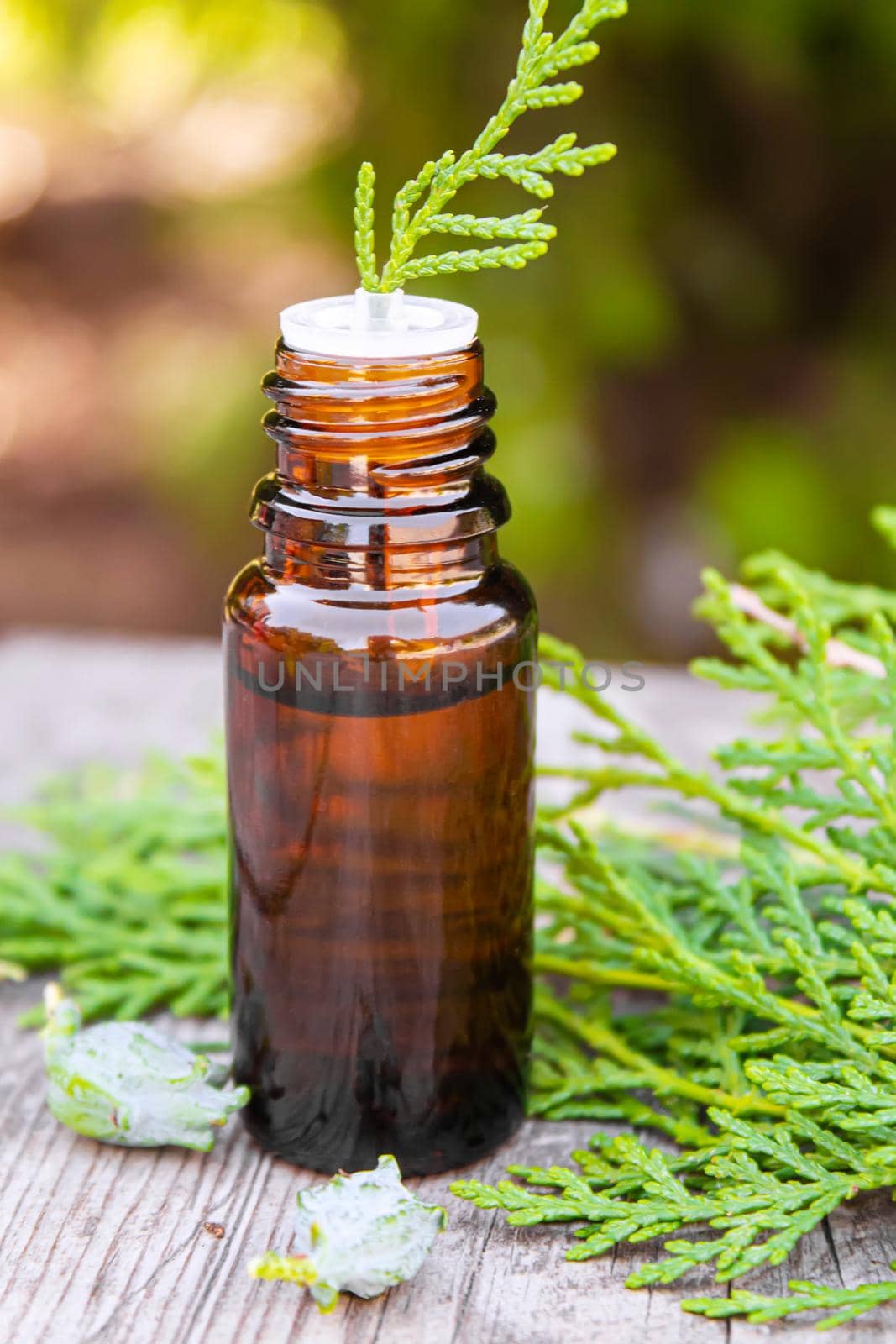 Juniper essential oil in a small bottle. Selective focus. nature.