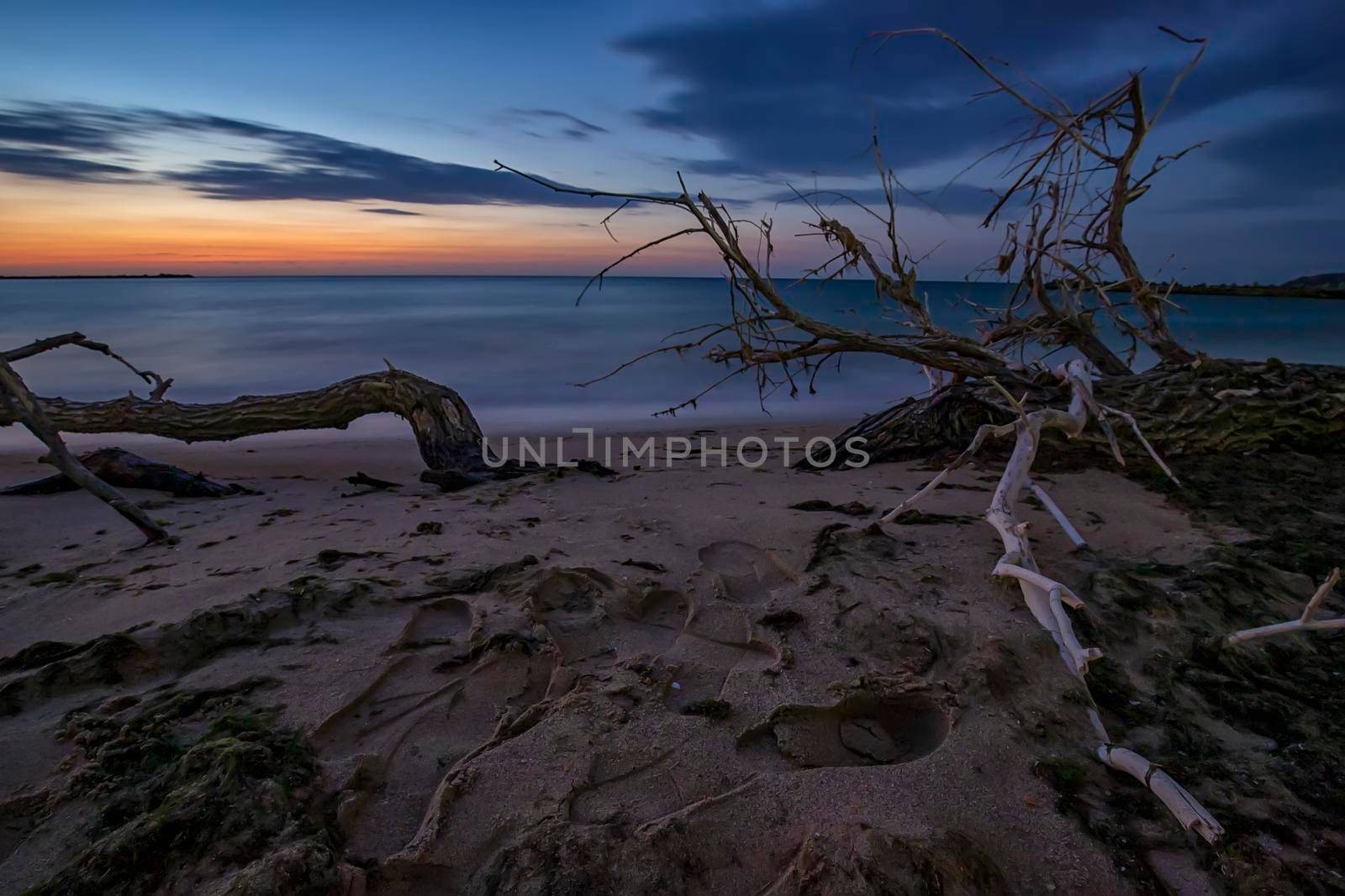 A stunning sunrise from a beach with an old tree trunk in the foreground