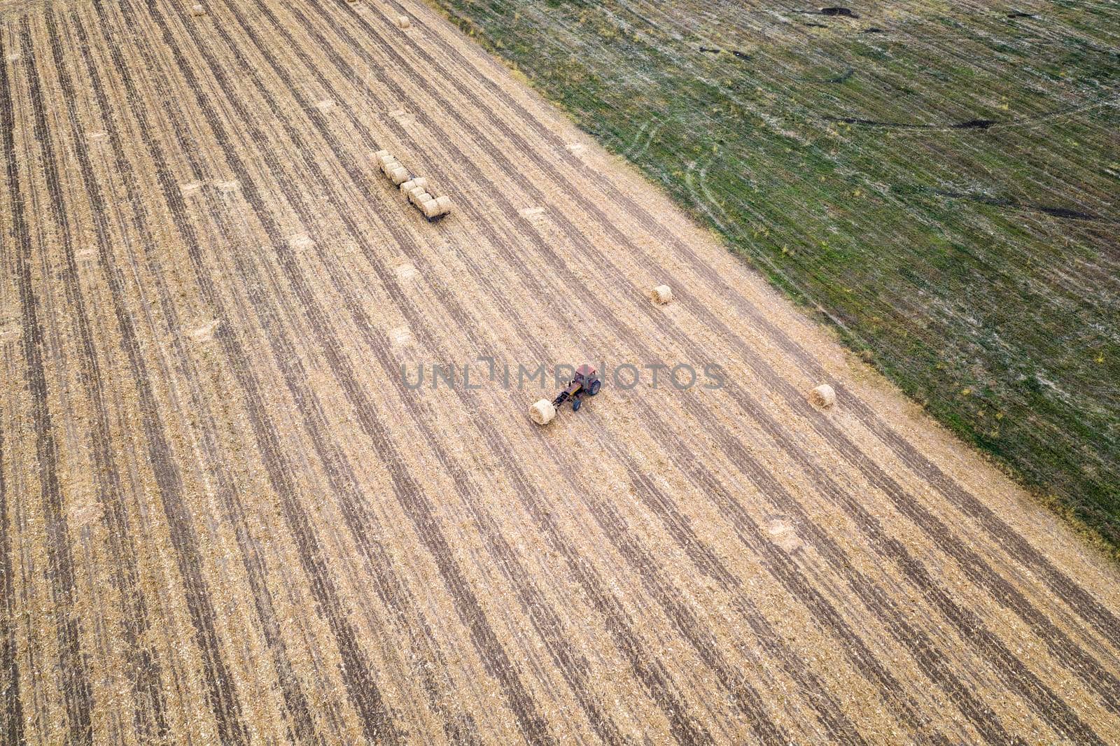 Aerial view from drone to the tractor collect bales of hay after harvesting on a wheat field.