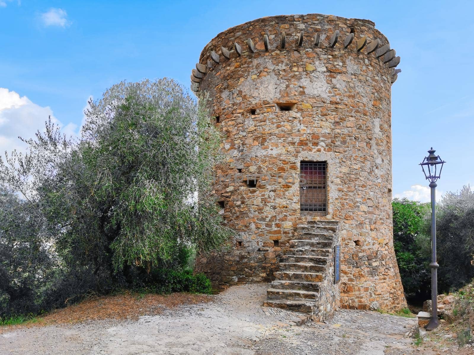 ancient Saracen tower with olive tree, travel reportage in Italy in the village of Torrazza in Liguria