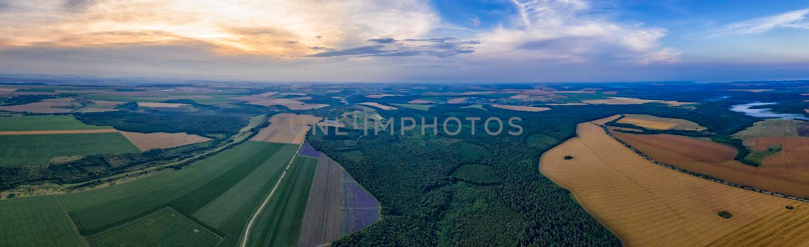 Amazing Aerial panorama from a drone of plowed and green fields, trees at sunset, agriculture concept. Countryside farmland in the summer. by EdVal