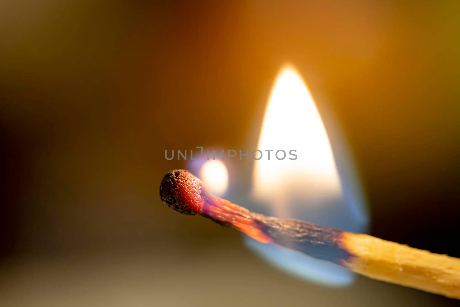 The fire spreads over a wooden stick of match. Close up