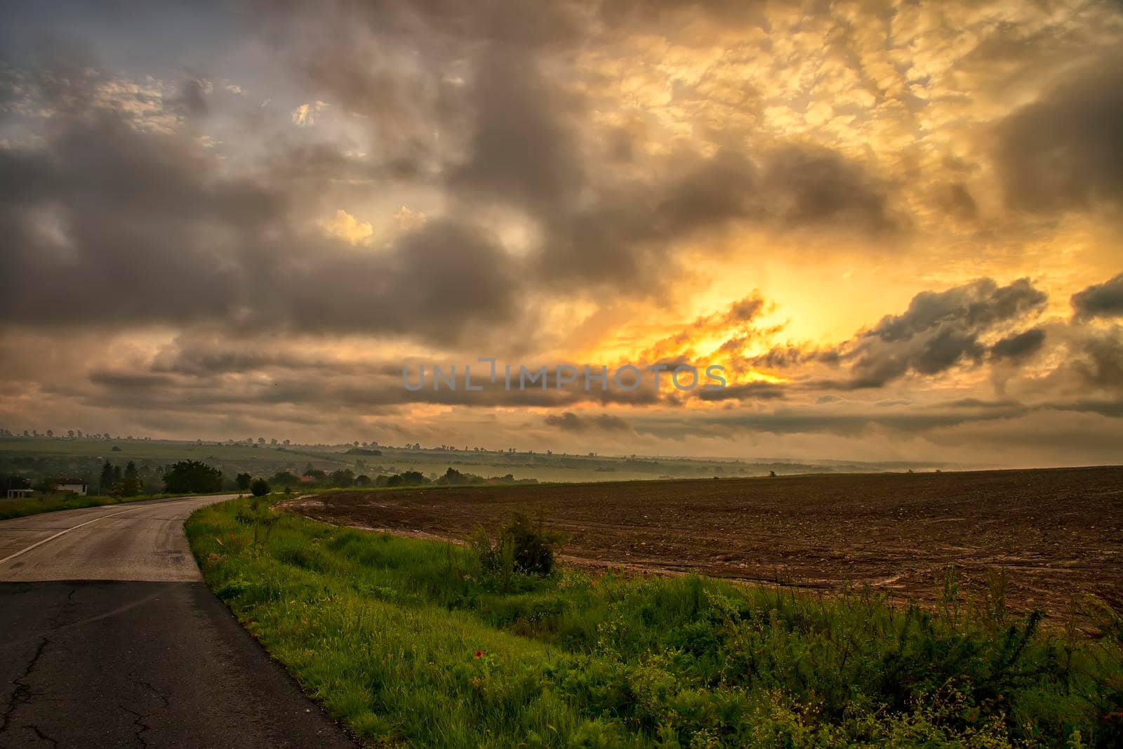 The landscape at the road through in the field with colorful clouds