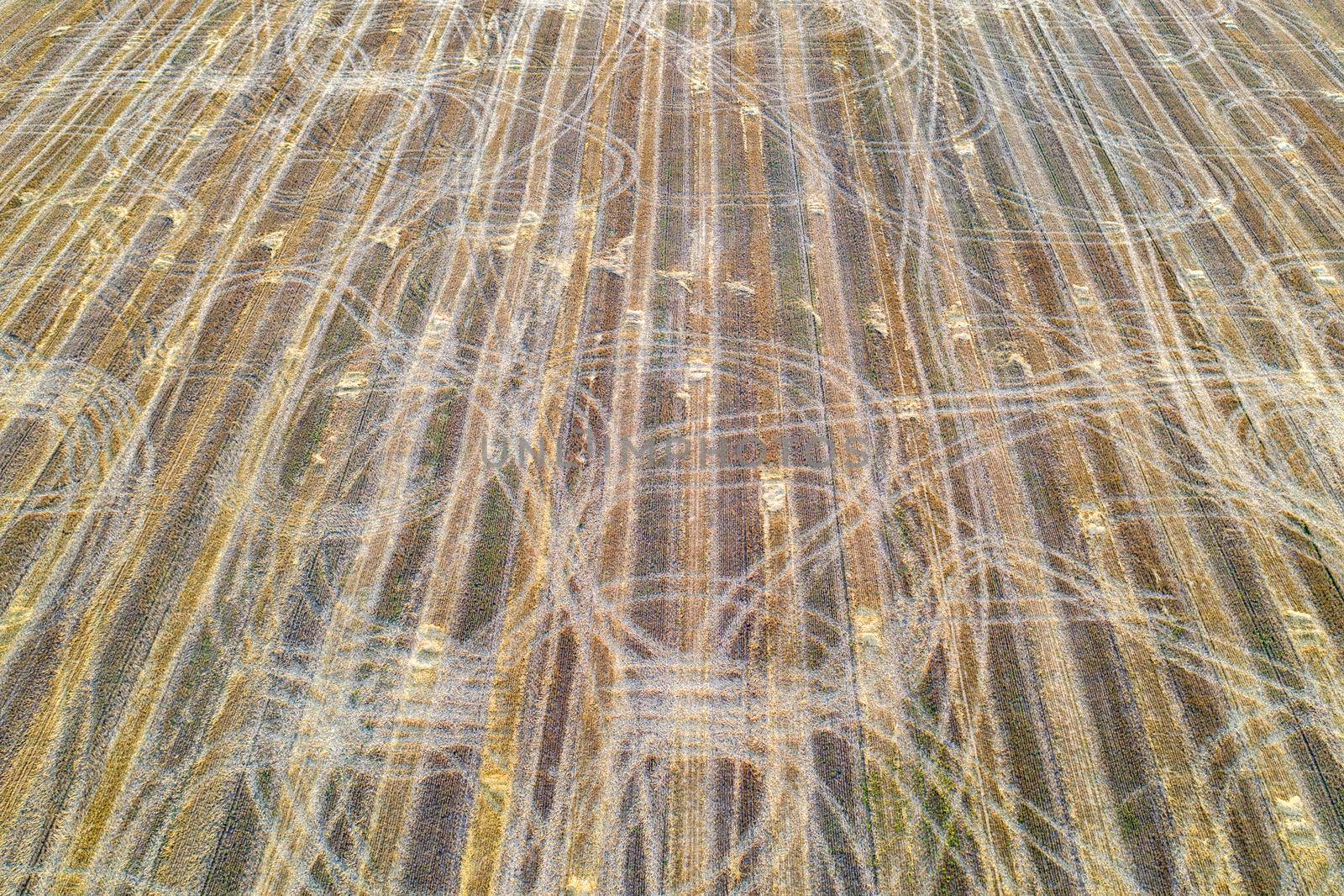 Farm field with tractor traces after harvest, views from above. Nature background.