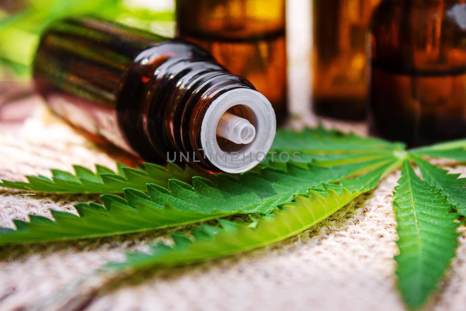 Cannabis extract essential oil in a small bottle. Selective focus. Nature.