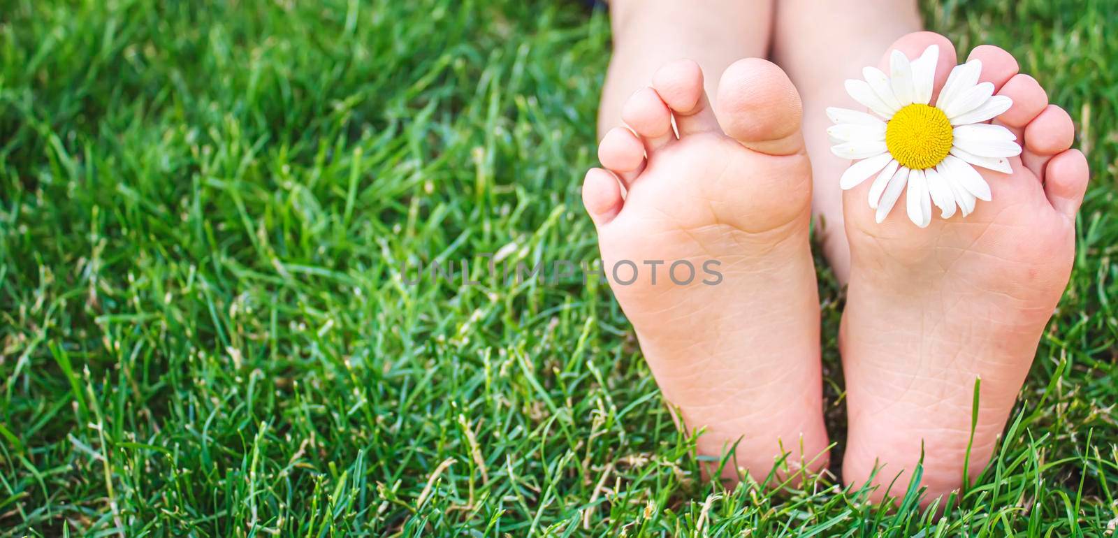 Children's feet with chamomile on green grass. Selective focus. by mila1784