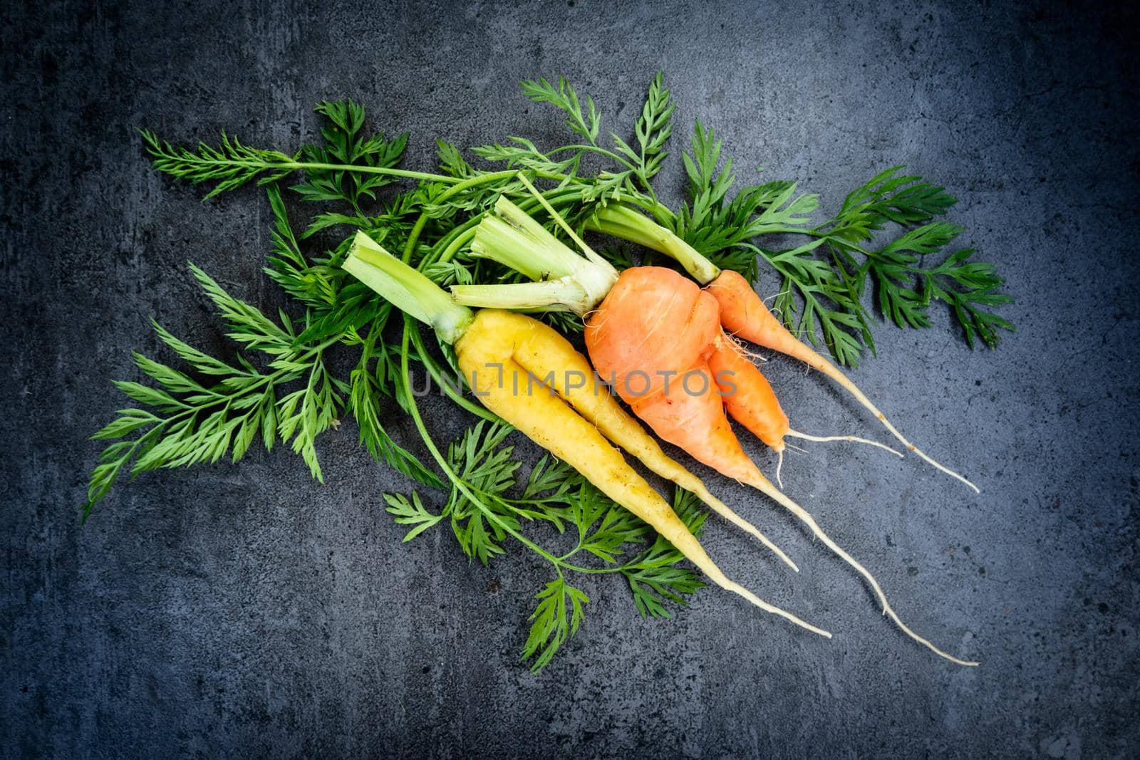 Carrots with leaves over dark by Tilo