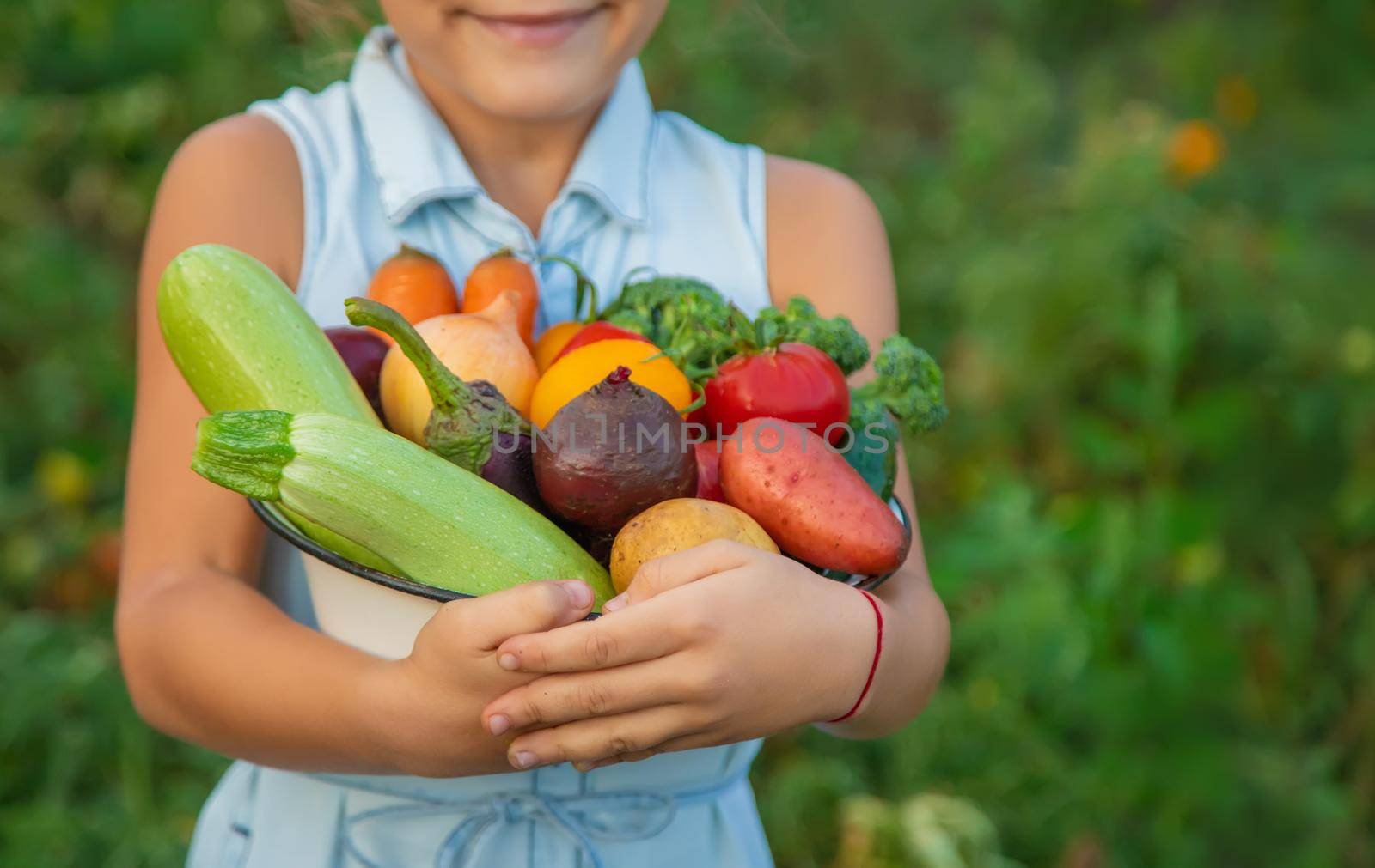 Vegetables in the hands of the child and father in the garden. Selective focus.food