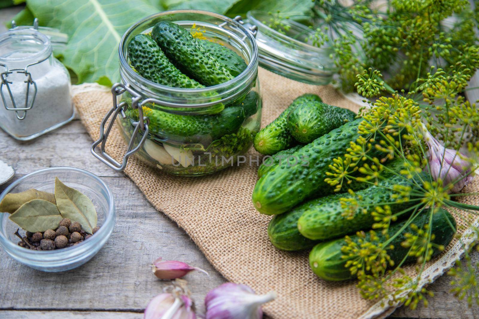 preservation of fresh house cucumbers. Selective focus. nature