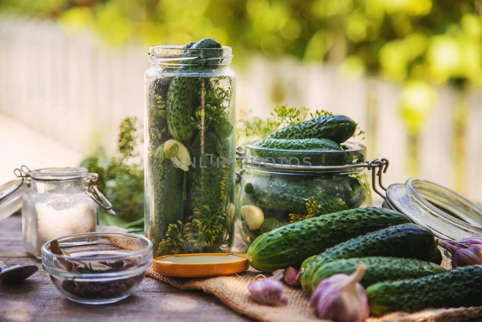 preservation of fresh house cucumbers. Selective focus. nature