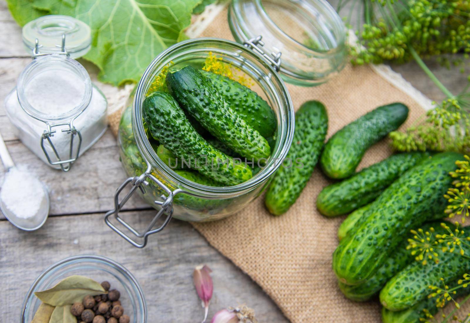 preservation of fresh house cucumbers. Selective focus. nature