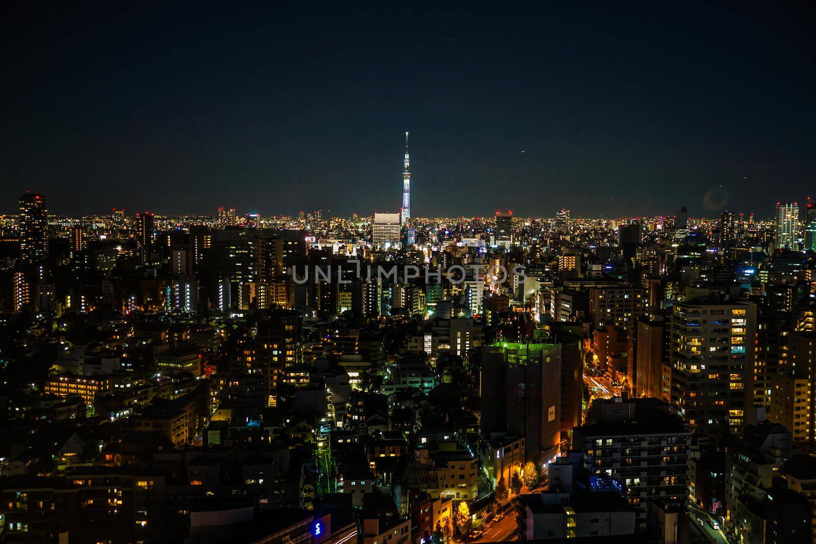Sky Tree seen from Bunkyo Civic Center. Shooting Location: Tokyo metropolitan area