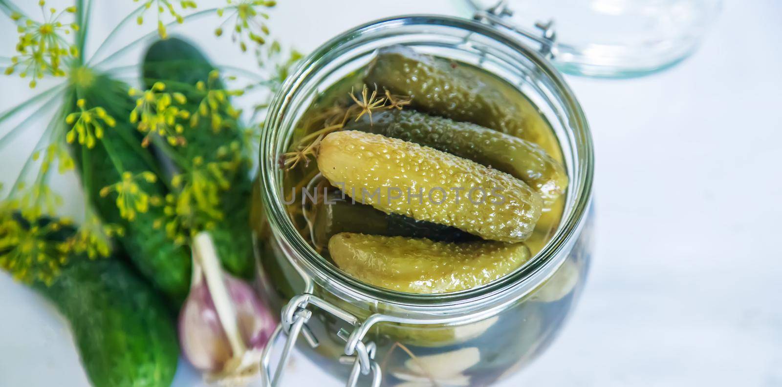 preservation of fresh house cucumbers. Selective focus. nature