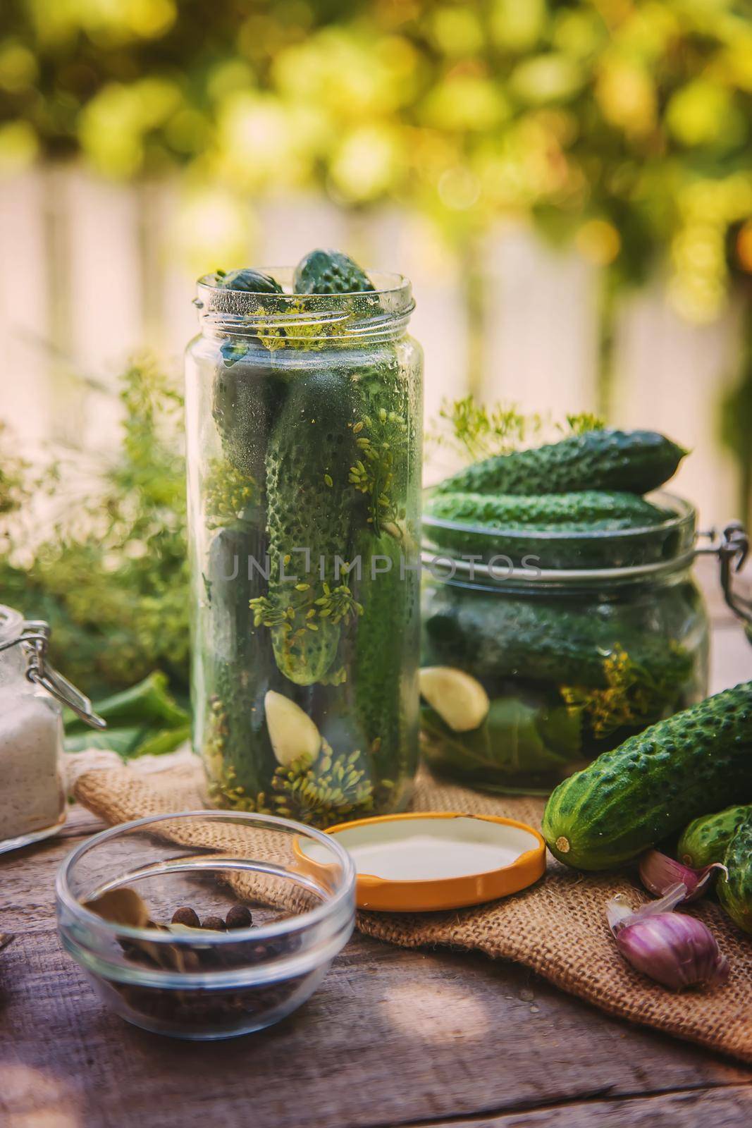 preservation of fresh house cucumbers. Selective focus. nature