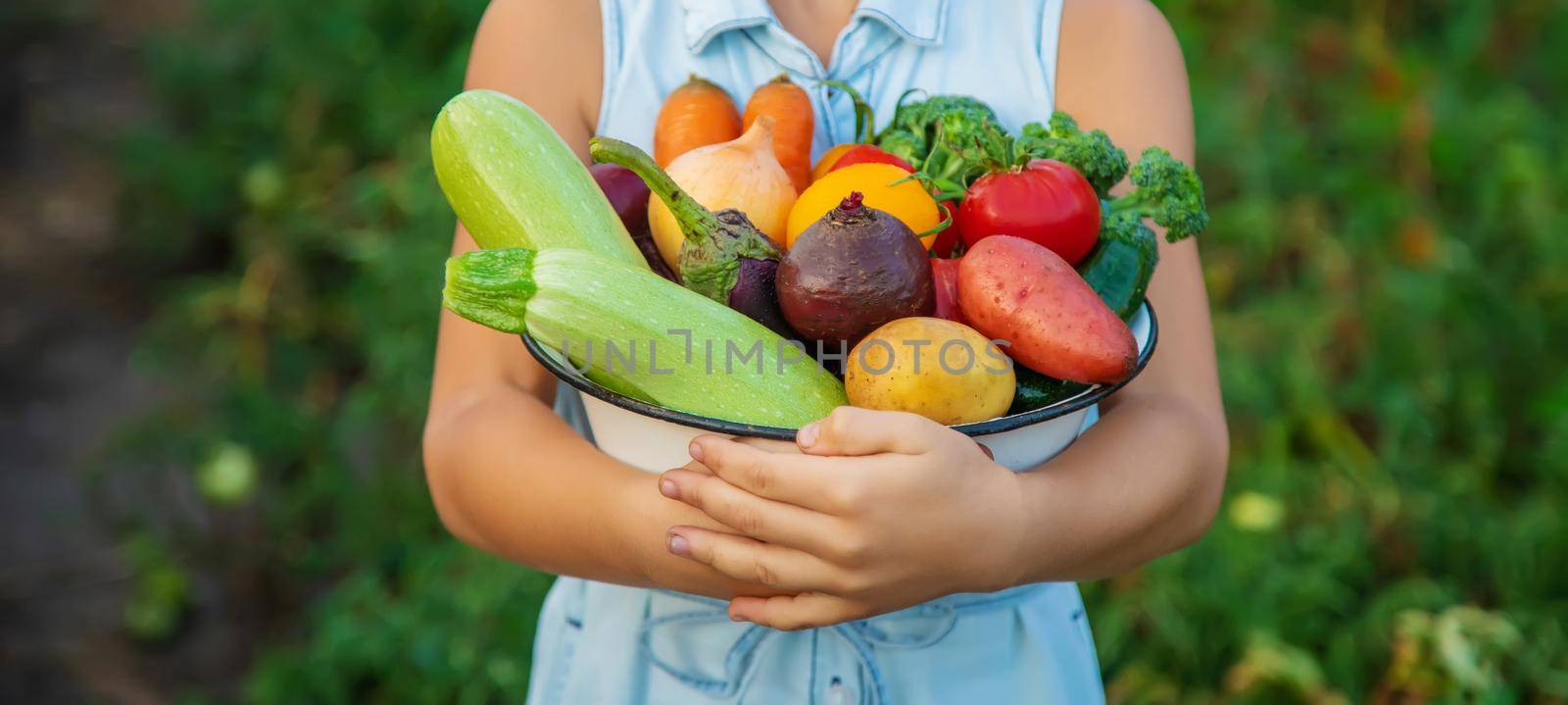 Vegetables in the hands of the child and father in the garden. Selective focus.food