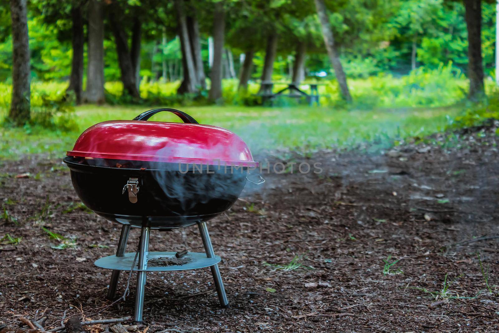 Summer grilling food vegetables and kebab meat on barbecue grill over smoke and hot charcoal