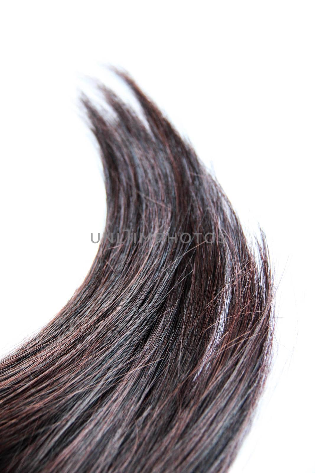 Black hair isolated on white background. Brunette natural hair extension on white background