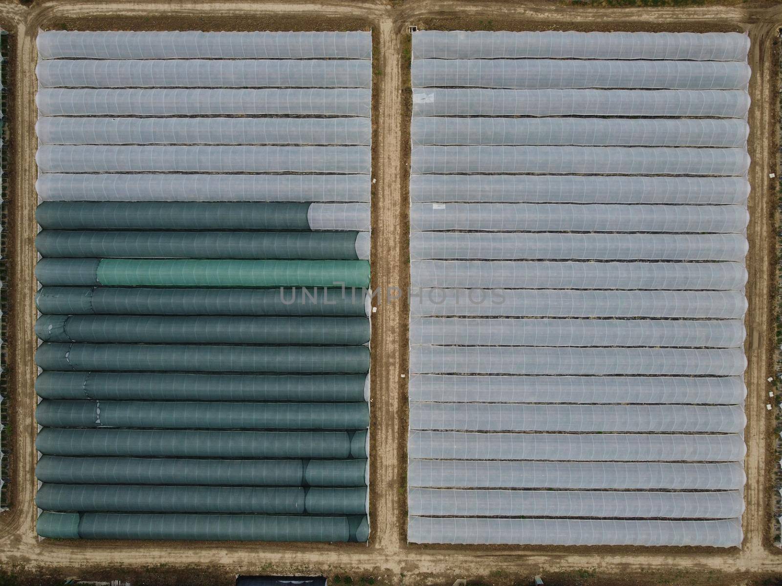 Aerial drone view of massive greenhouse for growing vegetables. Flying over large industrial greenhouses with transparent roof in evening.