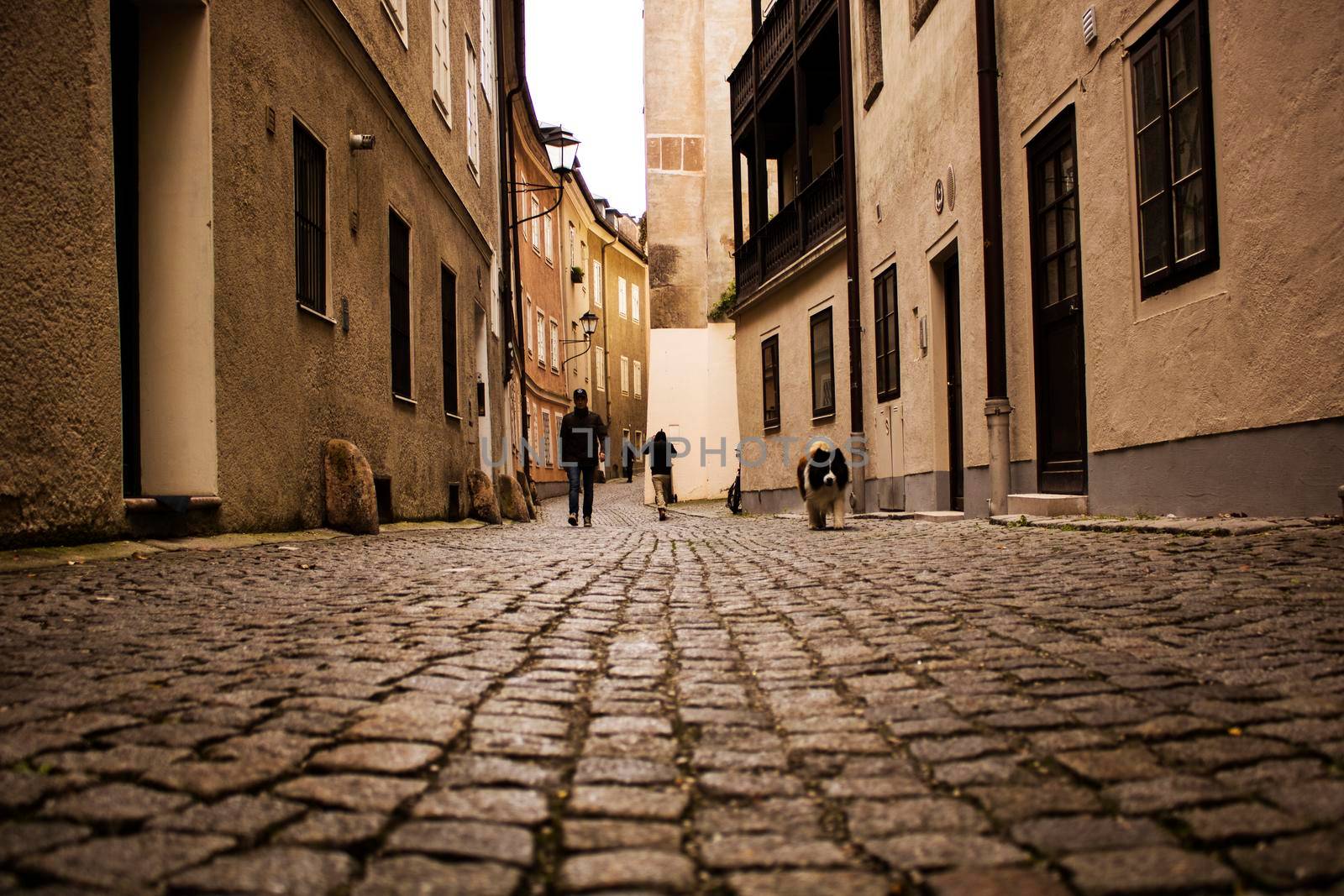 People and a dog walking in a street in an old town in Austria