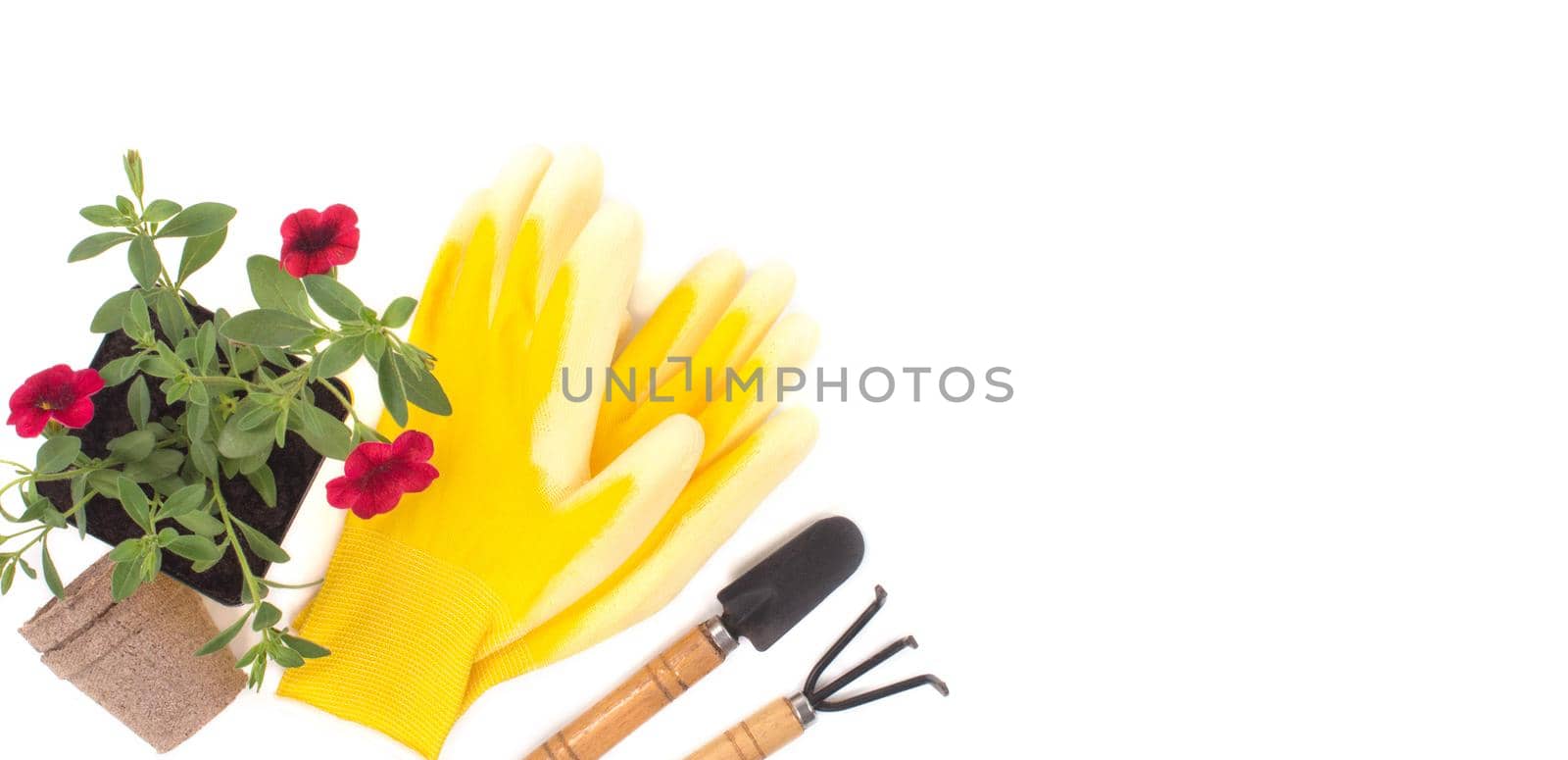 Garden shovels, gloves, recyclable plant pots with red flower on a white background . Gardening layout. Spring planting season. Work in the ground. Copy space