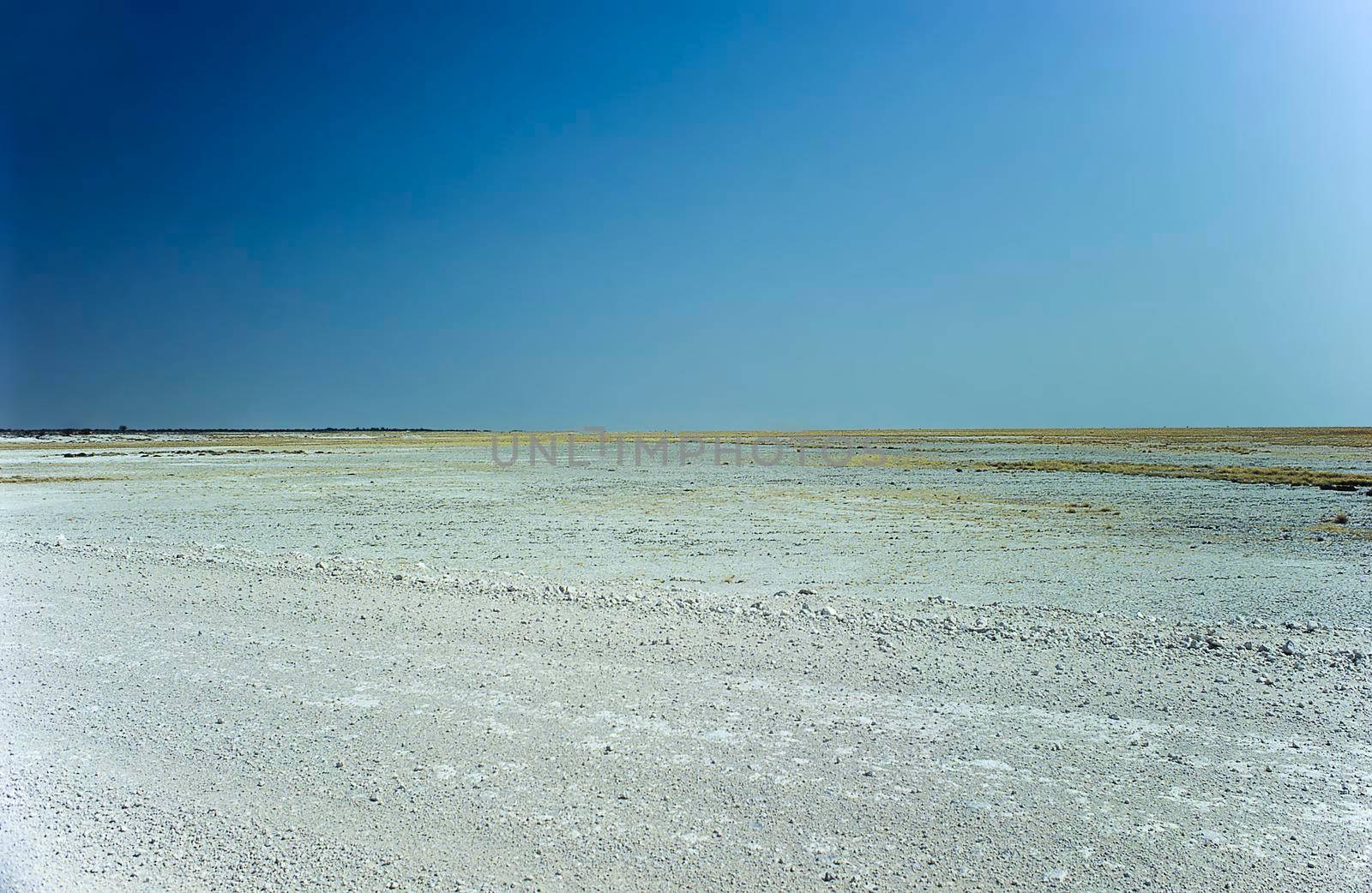 White desert landscape, salt flats in Etosha Pan, Namibia, Africa