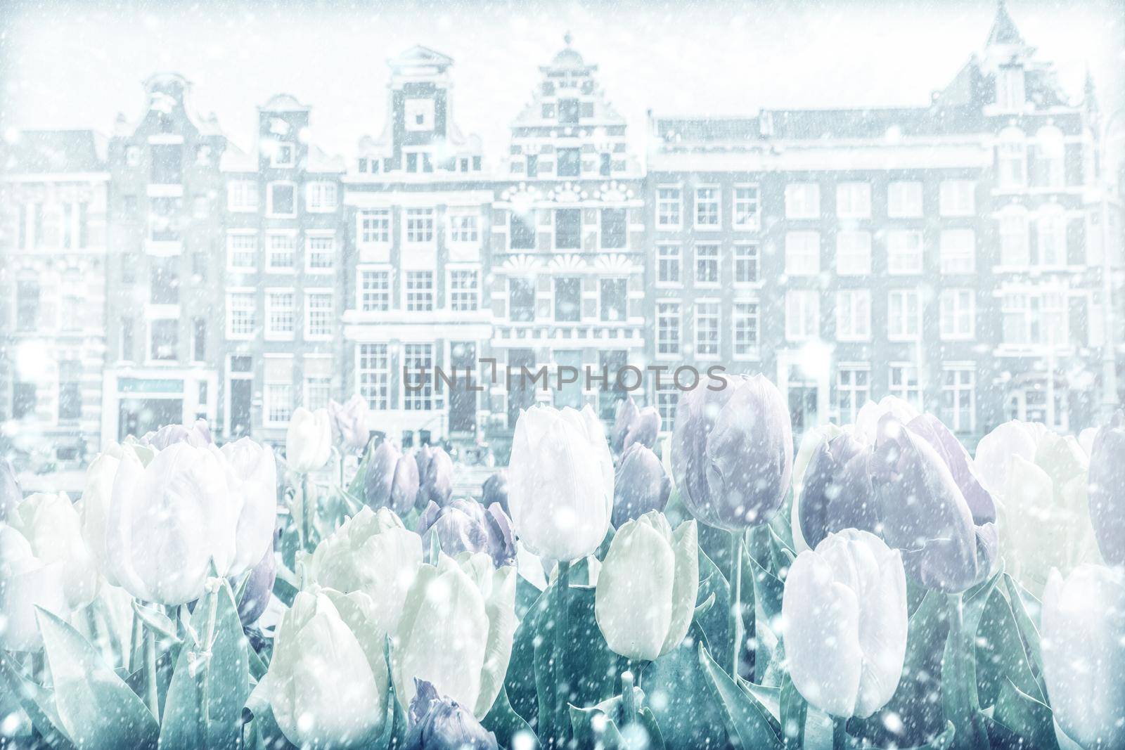 View of traditional old buildings in Amsterdam with snow