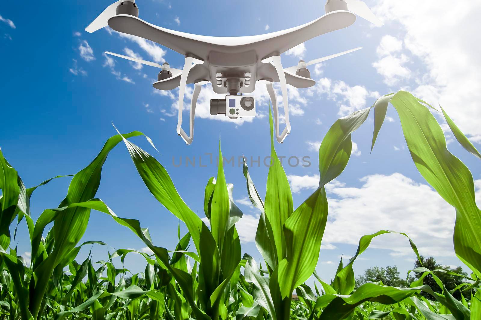 Drone with digital camera flying over cultivated field by cla78