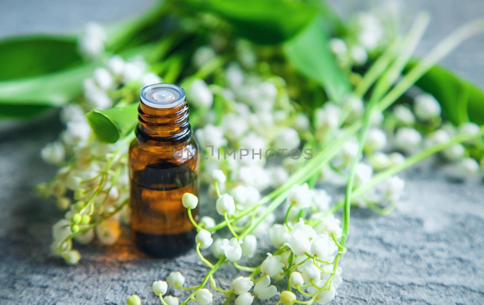 Lily of the valley essential oil in a small bottle. Selective focus. Nature.