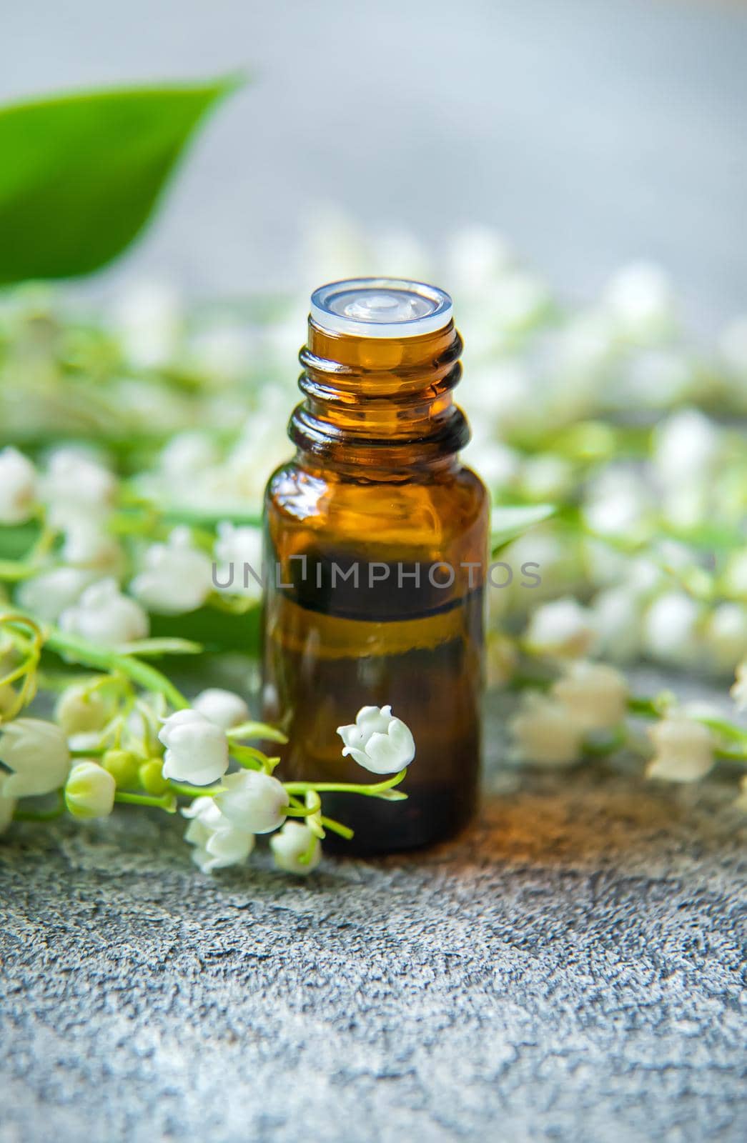 Lily of the valley essential oil in a small bottle. Selective focus. Nature.