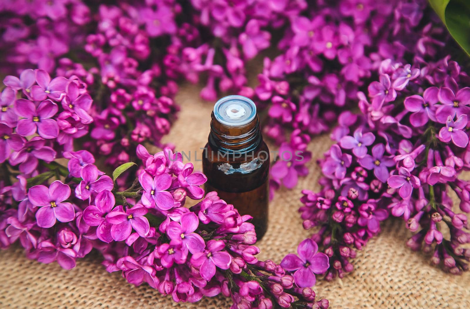 Lilac essential oil in a small bottle. Selective focus. Nature.