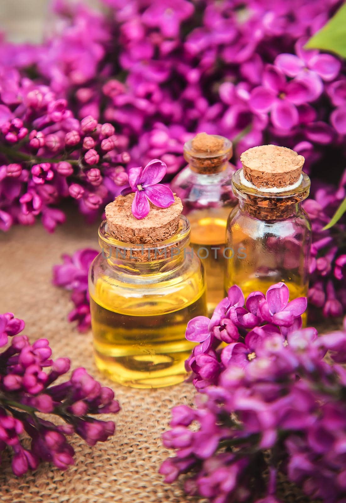 Lilac essential oil in a small bottle. Selective focus. Nature.