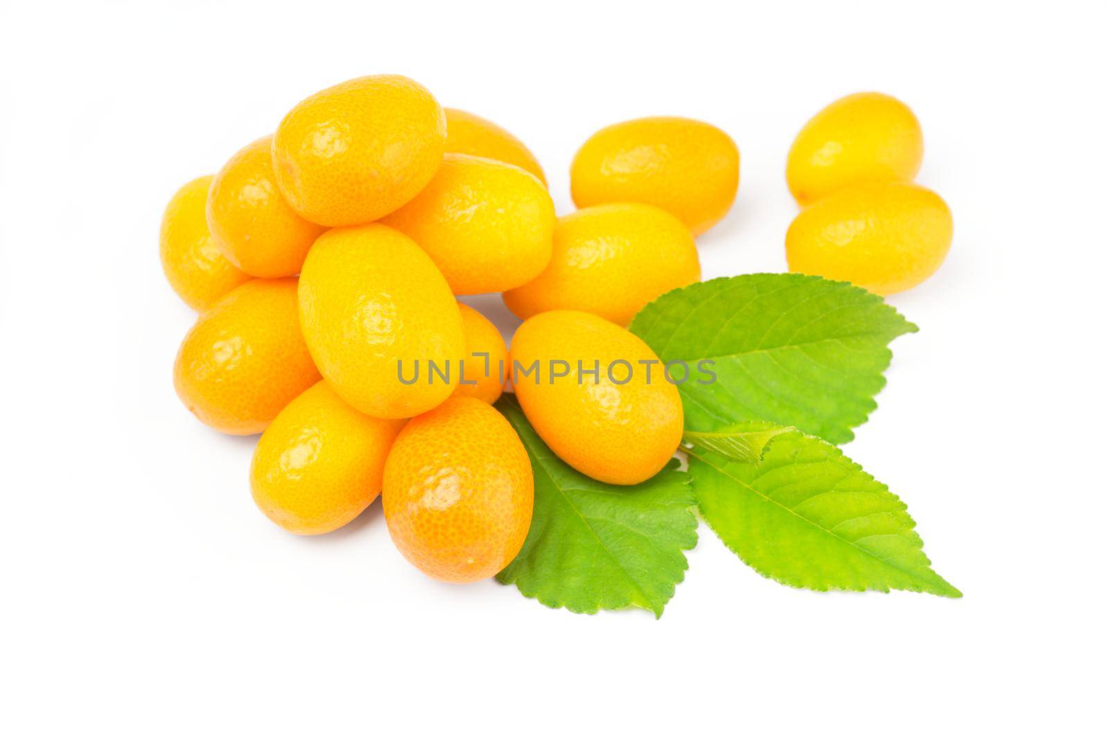 Kumquat with leaf isolated on white background cutout by Proff